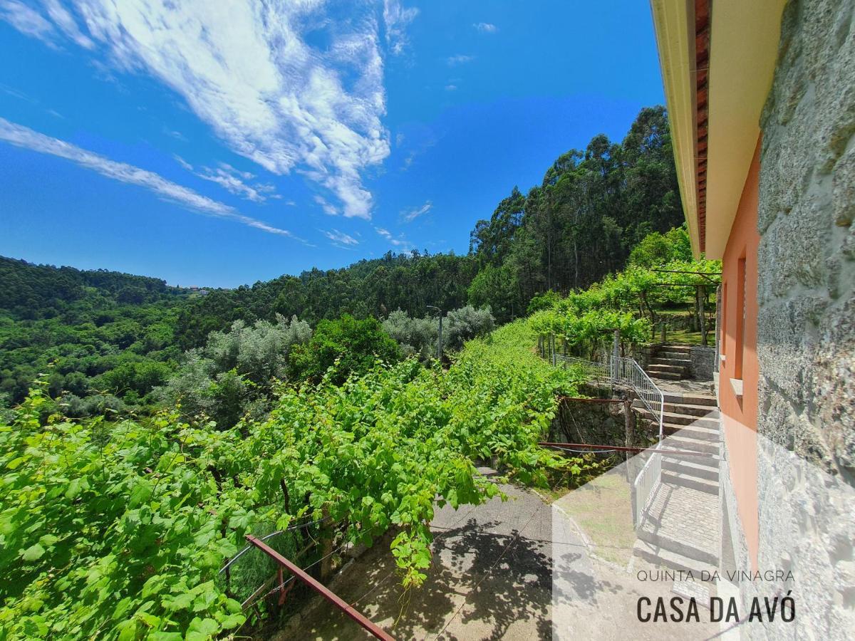 Villa Quinta Da Vinagra Tourim Exterior foto